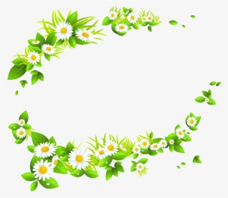 Moldura Flor Png