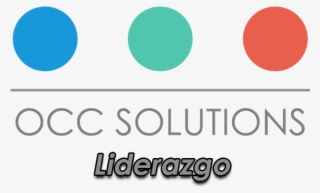 Occ Solutions Categoria Liderazgo - Disneyland Resort Paris