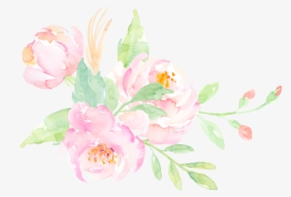 Download Size - Common Peony Transparent PNG - 3903x2652 - Free ...