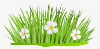 Free Png Download Grass Patch With Flowers Png Images - Grass With Flower Clipart