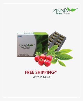 Grab Now With Special Price & Enjoy Free Shipping Within - Lingonberry