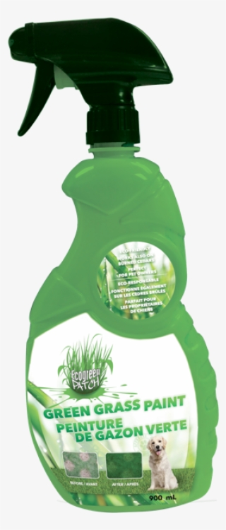 Paint Your Grass Patches - Plastic Bottle