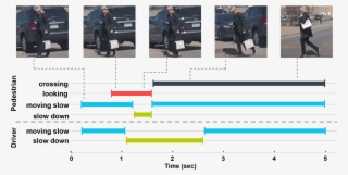 Timeline Of Events As The Pedestrian Is Crossing The - Car