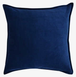 Image For 20x20" Velvet Decorative Pillow - Cushion