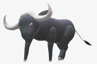 African Buffalo - Bull