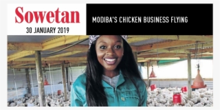 News - Chicken
