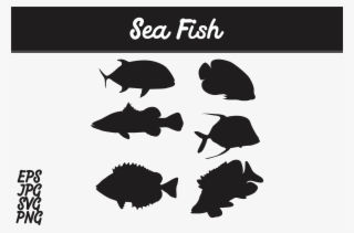 Sea Fish Silhouette Svg Vector Image Graphic By Arief