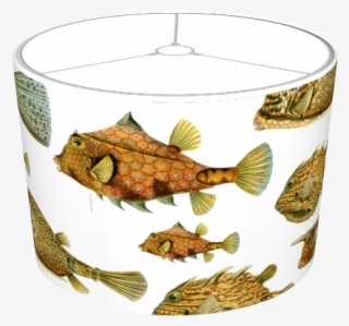 Deep Sea Fish Lamp - Porcelain