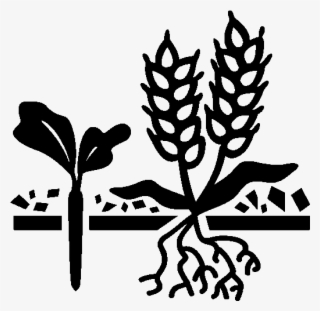 Cover Crops Icon - Logo Stencil About Soil And Water Conservation