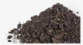 Igneous Rock