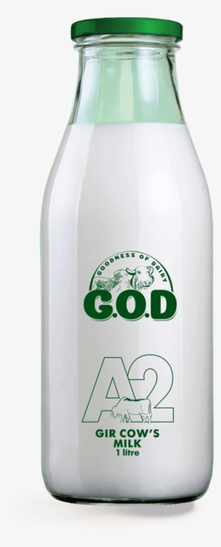 Goodness Of Our Gir Cow Milk - Glass Bottle