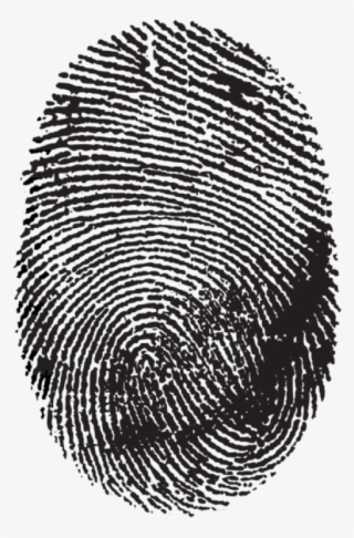 Free Png Download Fingerprint Png Clipart Png Photo - Transparent Background Fingerprint Png