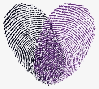 Ccb Fingerprint Logo Colored - Fingerprint Heart Vector