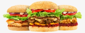 Fast Food Burger Png - Burger And Fries Png