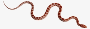 Red Snake Png Image - Smooth Like A Like A Snake