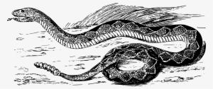 This Free Icons Png Design Of Diamond Rattlesnake