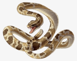 Item Rattlesnake - Serpent
