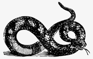 Snake Vcc - Gadsden Snake Png