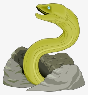 moray eel illustration