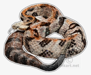 Diamondback Rattlesnake - Timber Or Canebrake Rattlesnake Throw Blanket