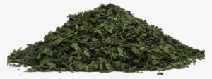 Green Tea - Tulsi Dry Leaves