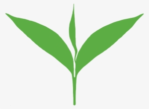 Green Tea Leaf Png Vector Transparent Library - Tea Leaf Logo Png