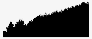 Medium Image - Vegetation Silhouette