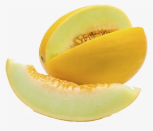 Yellow Honey Dew - Golden Melon