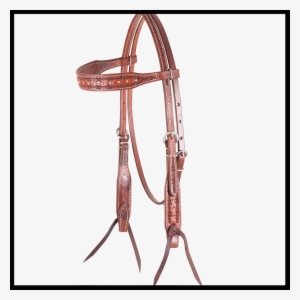 Martin Saddlery Browband With Barbwire Border & Brass
