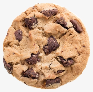 Cookie - Chocolate Chip Cookie Stock