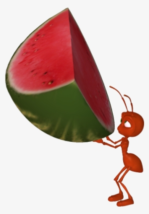 Watermelon Clipart Cantaloupe - Watermelon Ant