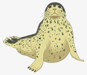 spotted seal svg clip arts 600 x 519 px