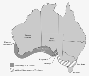 Distribution Of Extant Australian Sea Lion Breeding - Australian Sea Lion Distribution