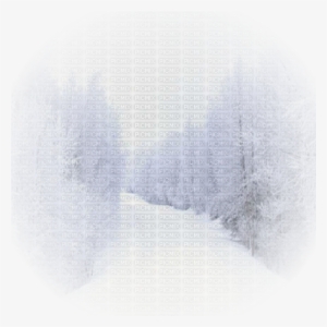 Winter Landscape - Snow Landscape Transparent Background