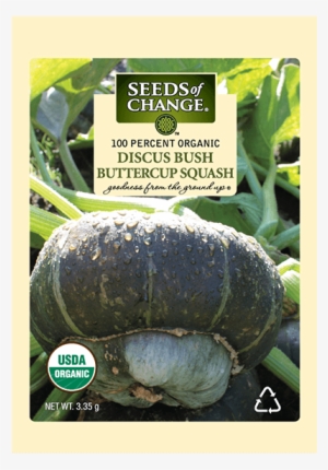 Organic Discus Bush Buttercup Winter Squash Seeds - Seeds Of Change