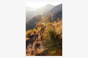 Bang For Your Buck - Downhill Mountain Biking