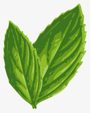 Foliage Clipart Mint - Mint Leaf Clip Art