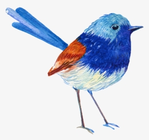 One Eye Sorrowful Bird Png Transparent - Portable Network Graphics