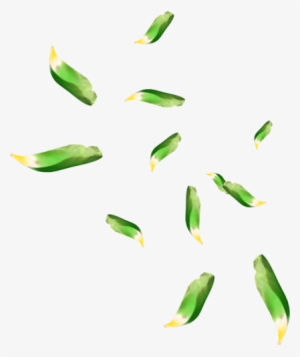 Falling Green Leaves Png High-quality Image - Fairy