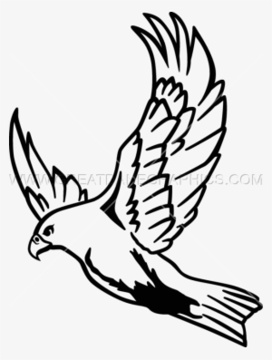 Flying Hawk Drawing At Getdrawings - Falcon Drawing