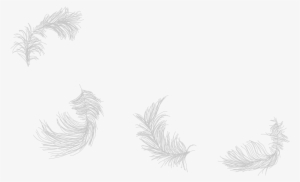 Simple Tribal Angel Wings - Drawing