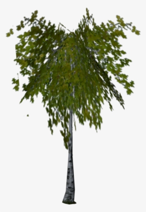 Birch Hp2 Pc - De Vielle 4ft Artificial Fig Tree
