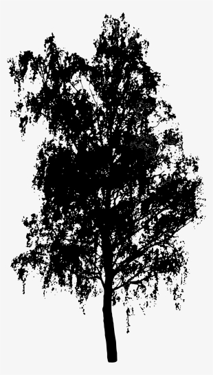 How To Draw A Birch Tree, Stencils - Tree