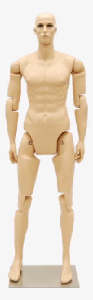 Poseable Adult Mannequin Uk