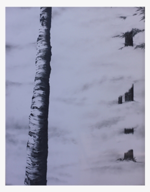 Birch Tree In The Forest - Art