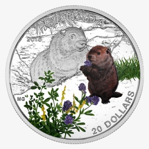 Pure Silver Coloured Coin Baby Animals - 2016 Fine Silver 20 Dollar Coin - Baby Animals: Woodchuck