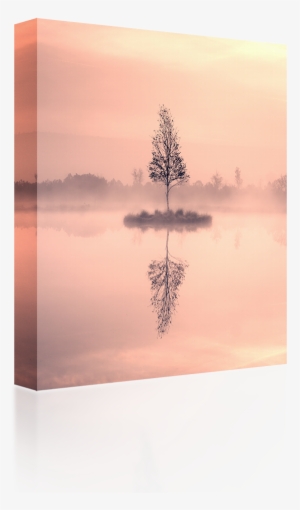 Birch Tree Island - Reflection