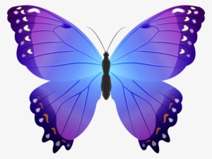 Butterfly Purple Transparent Png Clip Art - Blue And Purple Butterfly Clip Art