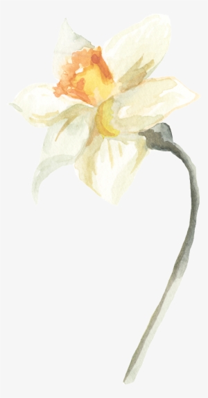 Transparent Ornamental For Ice White Stamens - Flower