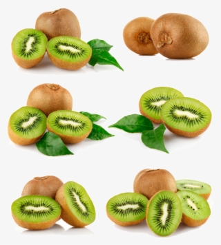 Several Kiwifruit Hd Png - Kiwi Fruit Images Hd